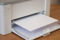 IMG 9735